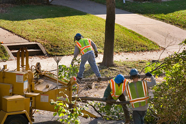 Best Tree Preservation Services  in Kennett Square, PA